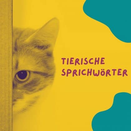 Das Sprachquiz wider dem tierischen Ernst zu Sprichwörtern