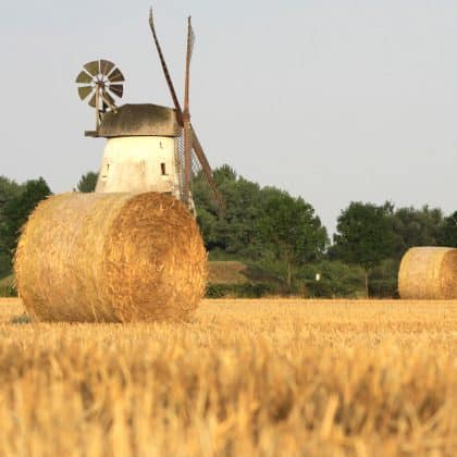 Wissenstest: Wie gut kennst du die Bauernregeln im August?