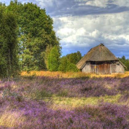 Das Lüneburger Heide Quiz: Wie gut kennst du dich aus?