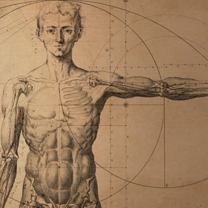 Anatomie Quiz: Wie gut kennst du den menschlichen Körper?