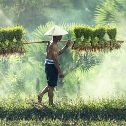 Das Asien Länder Quiz: Wie gut kennst du den östlichen Kontinent?