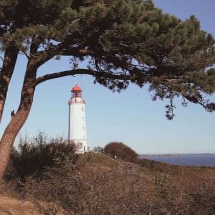 Hiddensee Quiz: Wie gut kennst du die autofreie Ostsee-Insel?